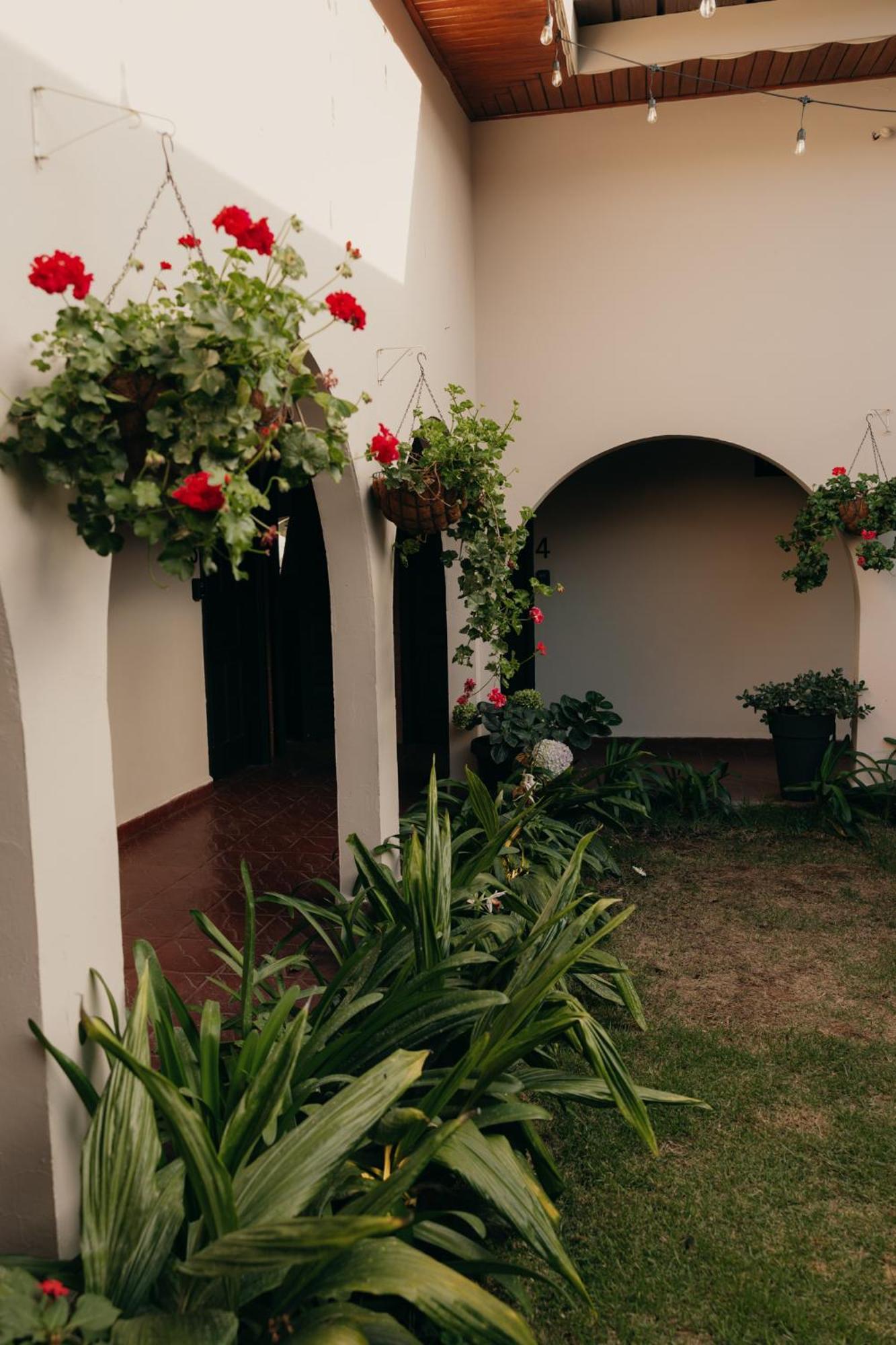 Hotel Boutique Rebequet Boquete Esterno foto