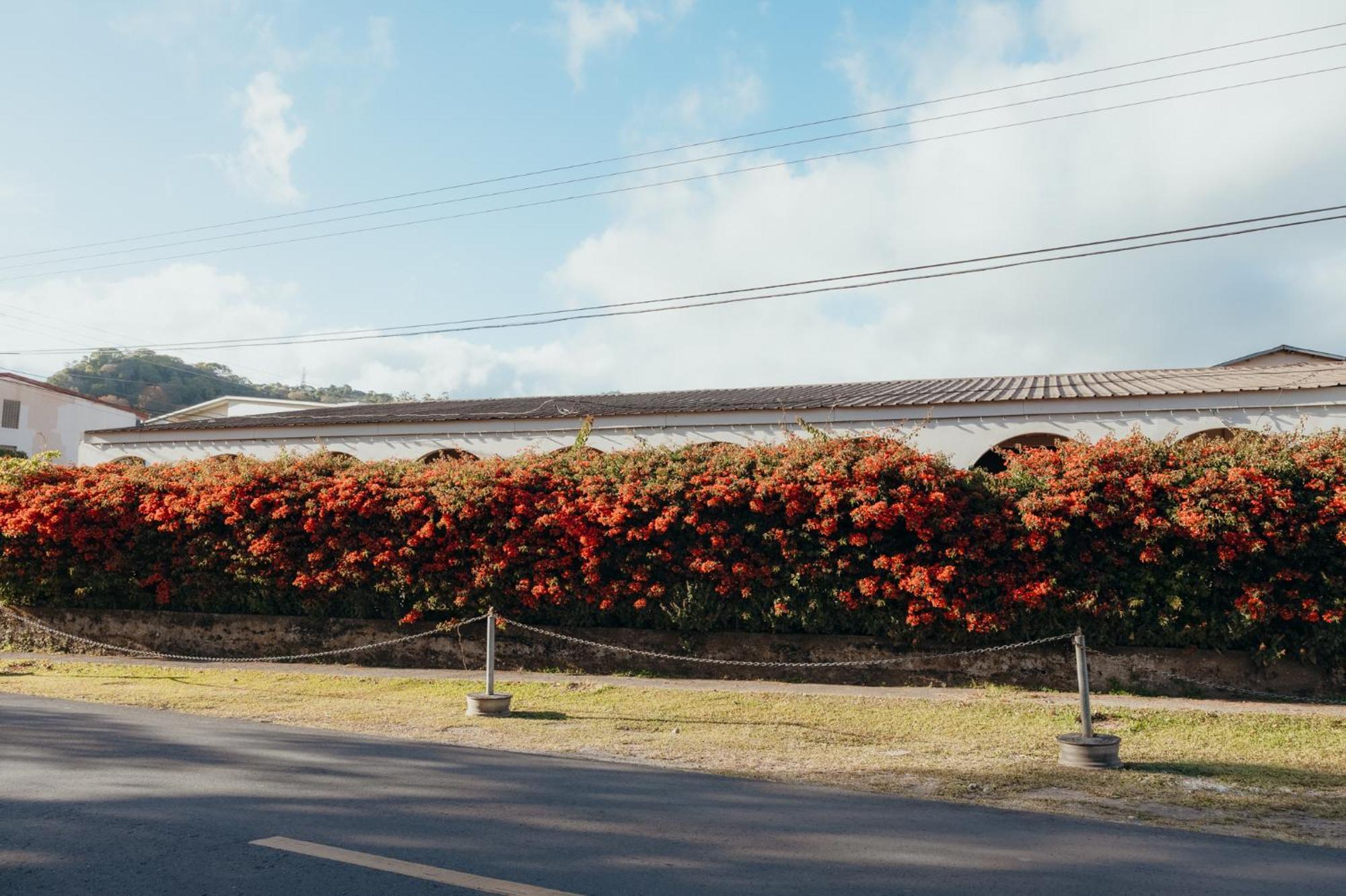 Hotel Boutique Rebequet Boquete Esterno foto